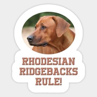 Rhodesian Ridgebacks Rule! Sticker